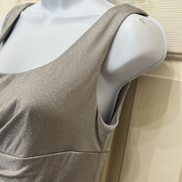Dressbarn Size Petite 4 Sparkling Silver Metallic Sleeveless Ruched Mini Dress - Picture 4 of 13